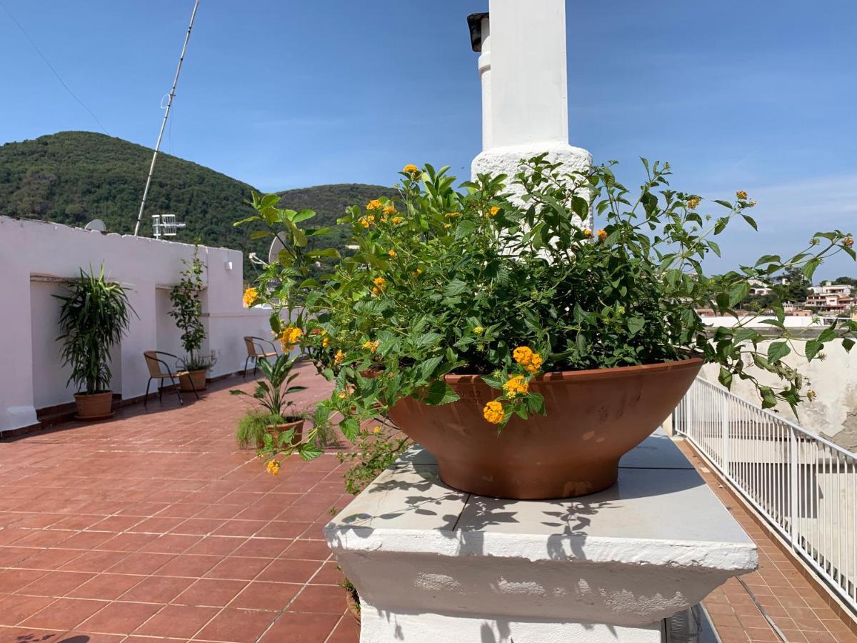 Molo35 Bed & Breakfast Ischia Bagian luar foto